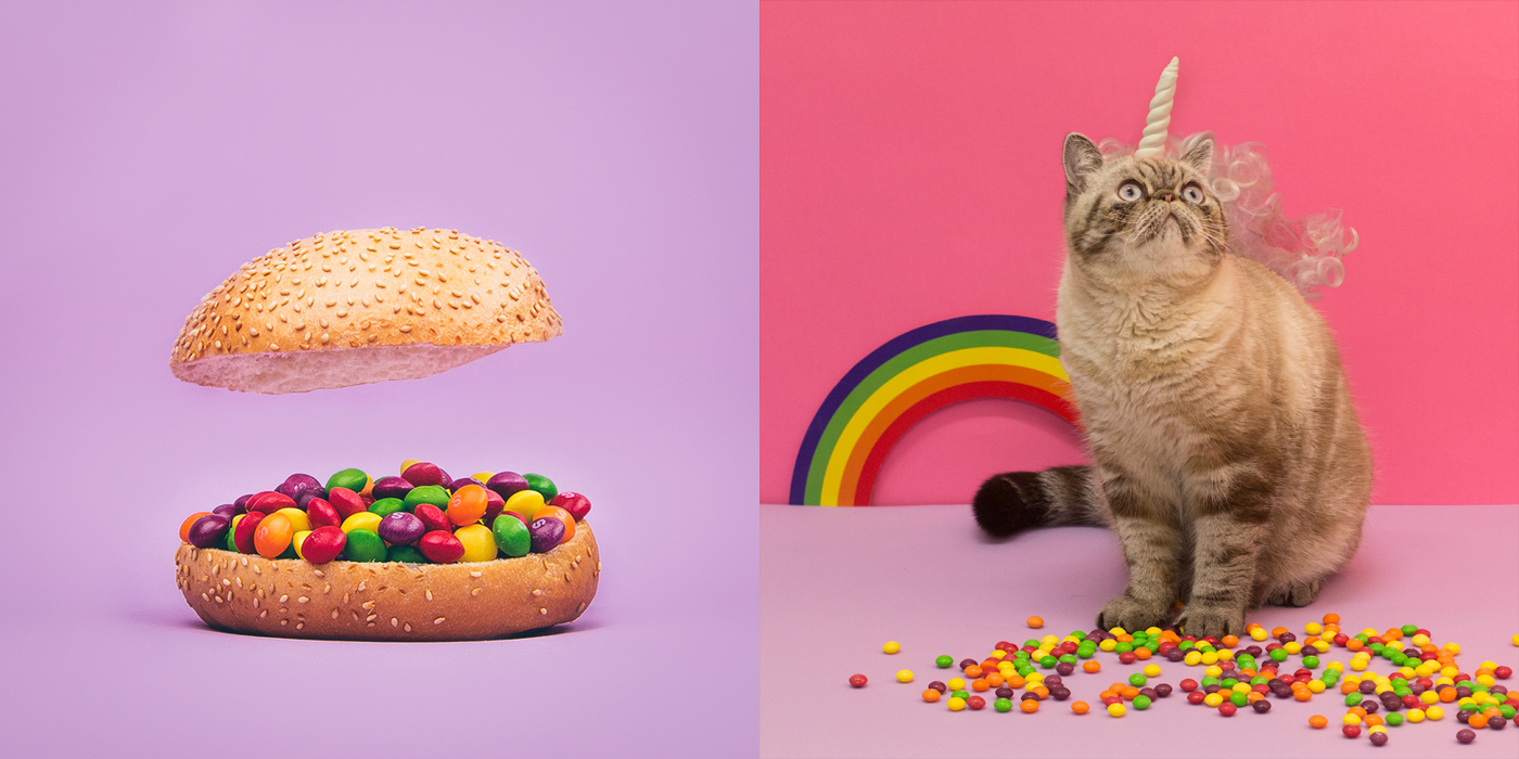 skittles color bright rainbow Candy tasty food art papercratf paper Cat unicorn vinyl burger cloud