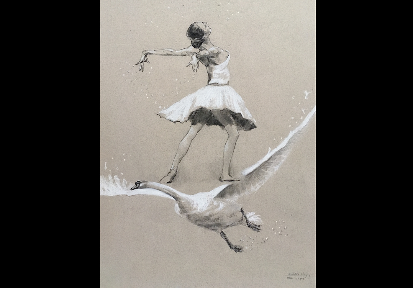 swan Drawing  Fine Arts  dancer girl figure portrait poem animal