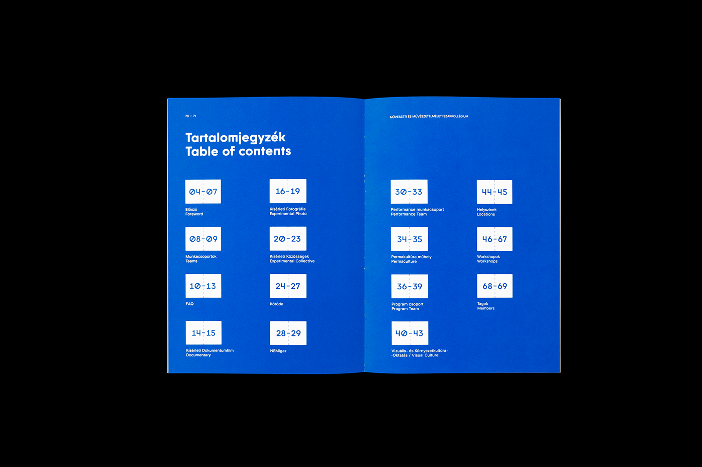 editorial desig book design typography   Layout typefaces blue book art culture graphic design  Catalogue