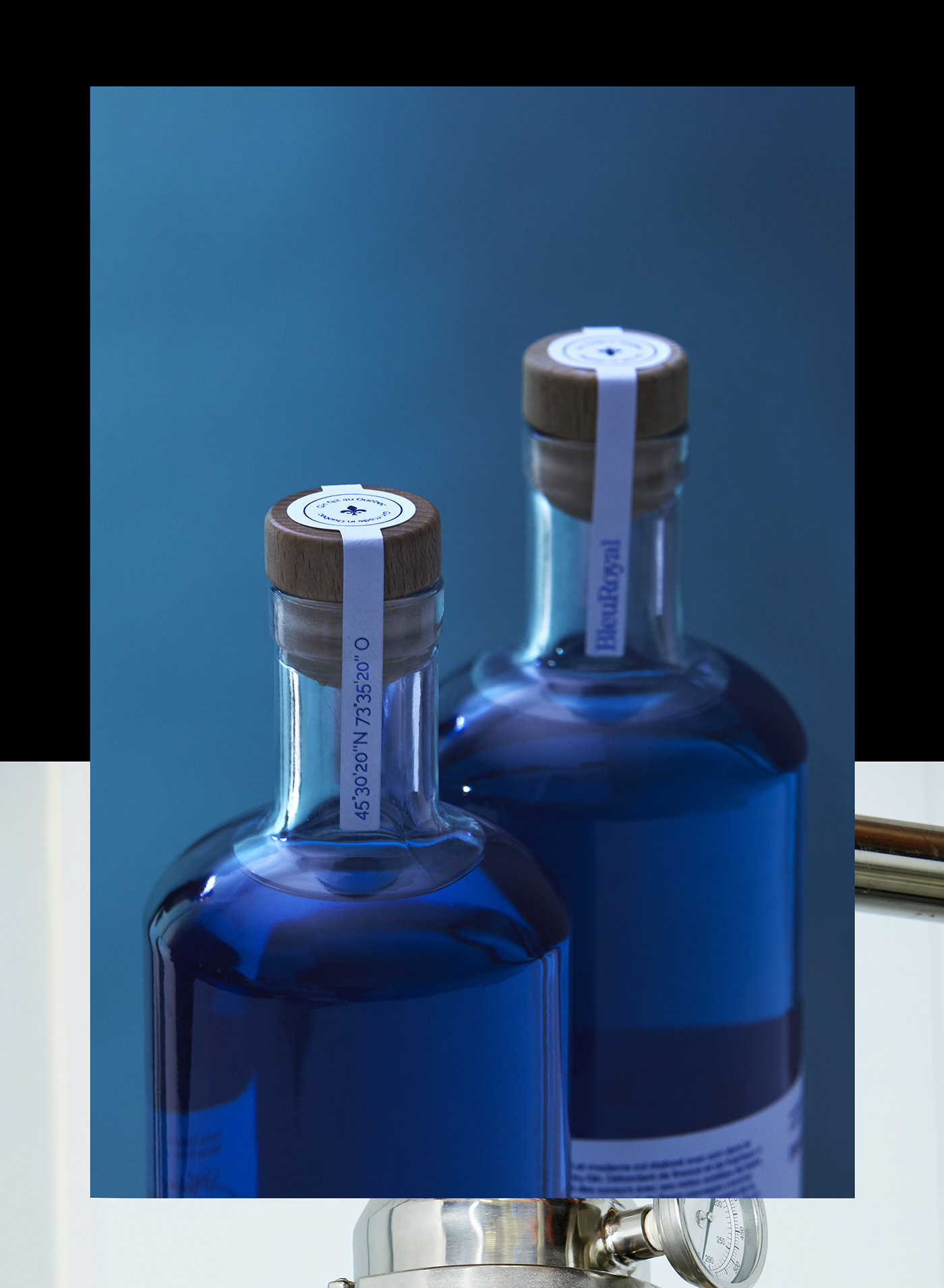 branding  Label Packaging gin alcool