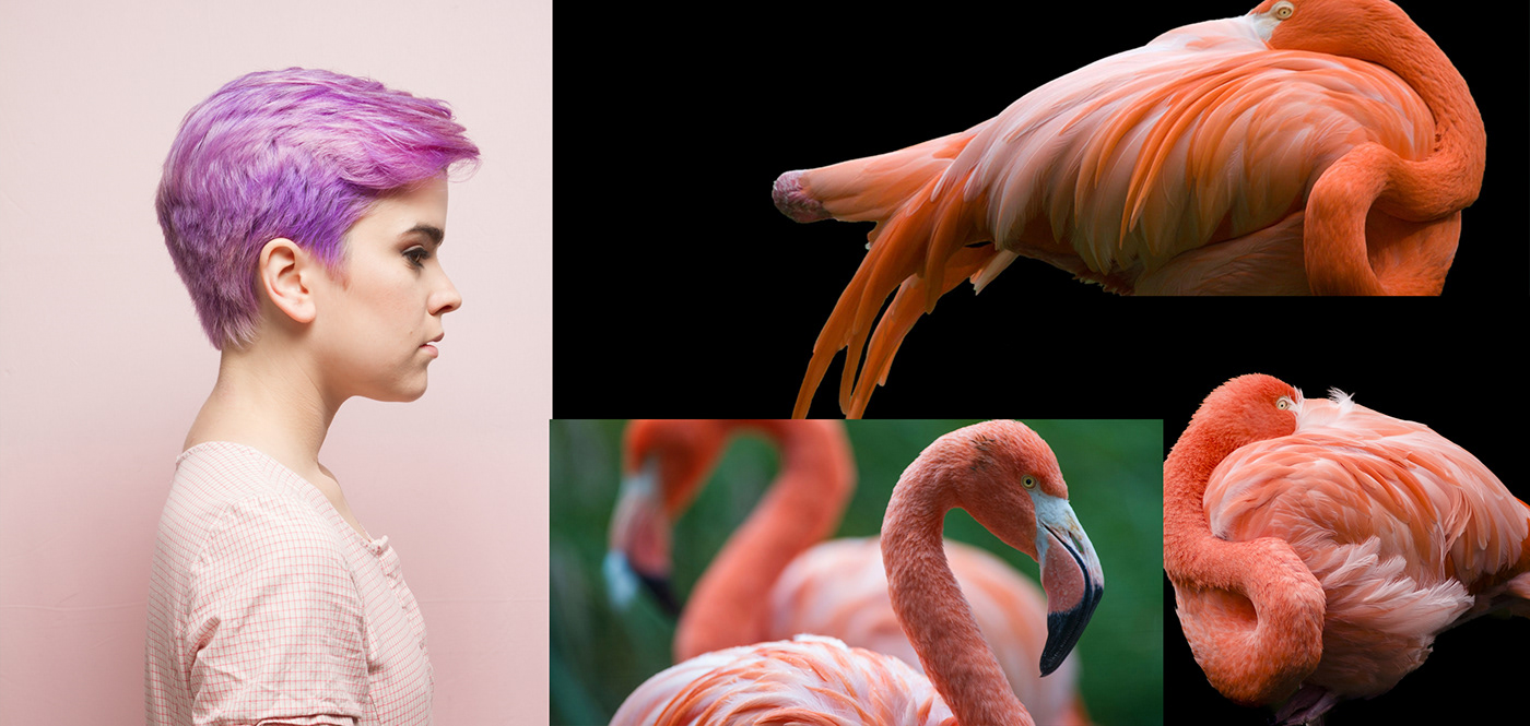 design pantonecoloroftheyear LivingCoral Coloroftheyear millennial flamingo ArtDirection photoshop composition