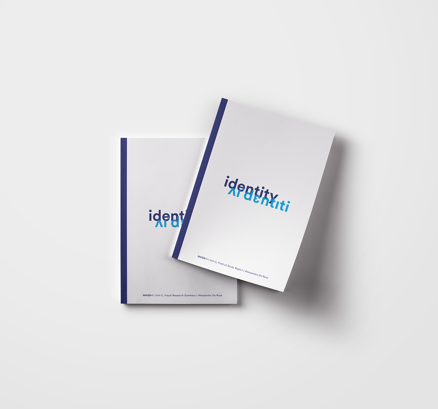 identity research visual book Layout branding 