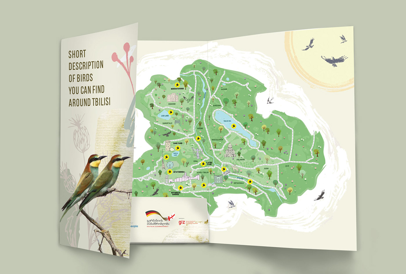 map design brochure graphic design  Tbilisi Bird watching print design 