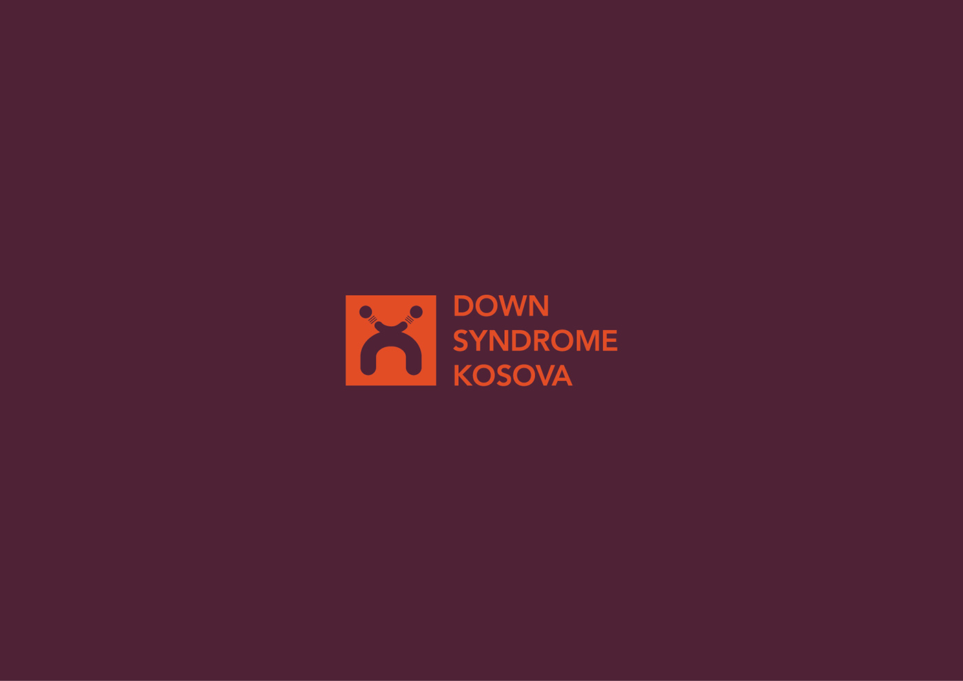 graphic design  branding  rebranding visual identity logo downsyndrome kosova