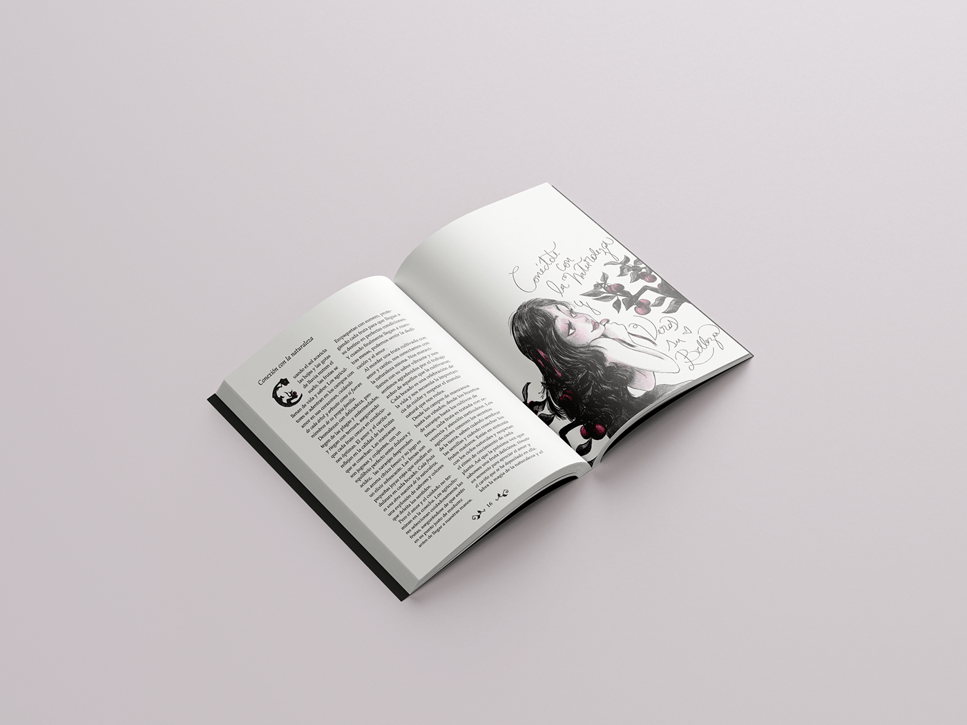 Diseño editorial editorial InDesign cover design Editorial Illustration book