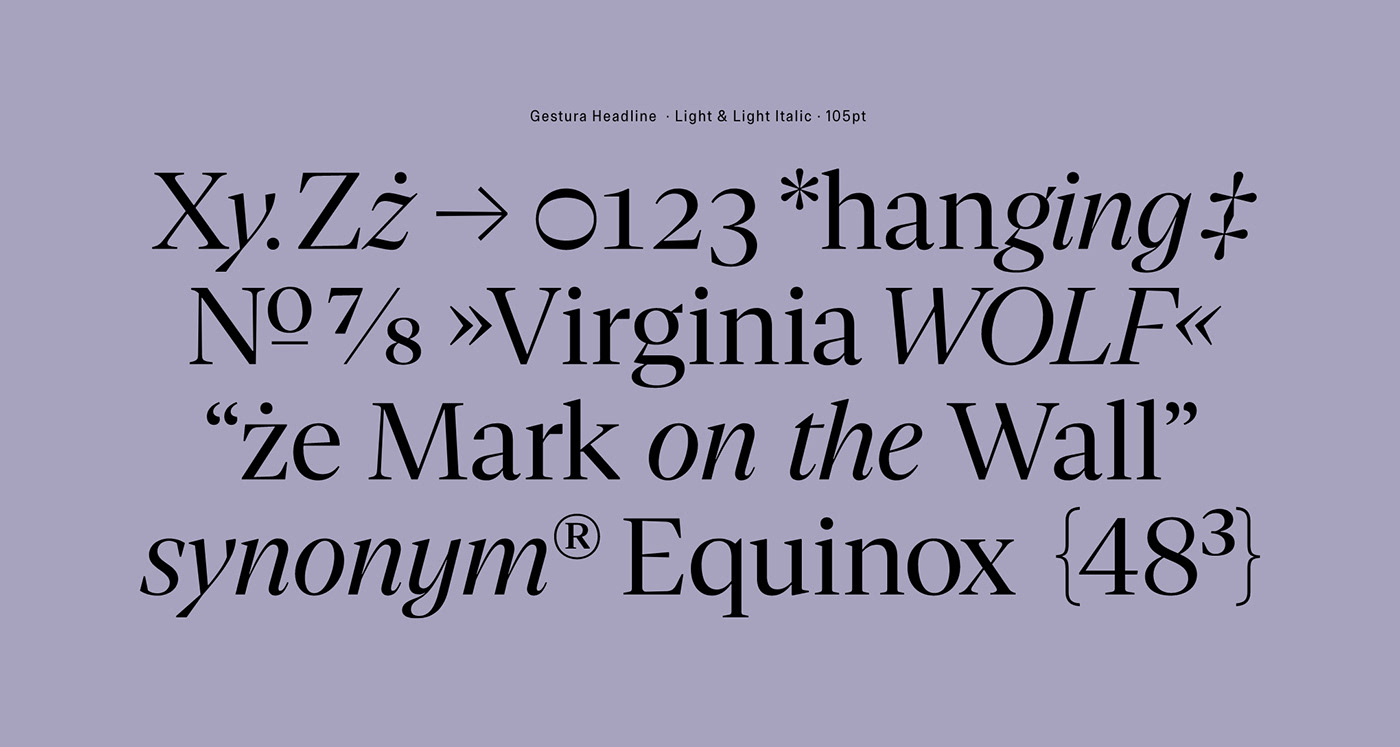 Display font foundry modern serif sociotype specimen Typeface typography  