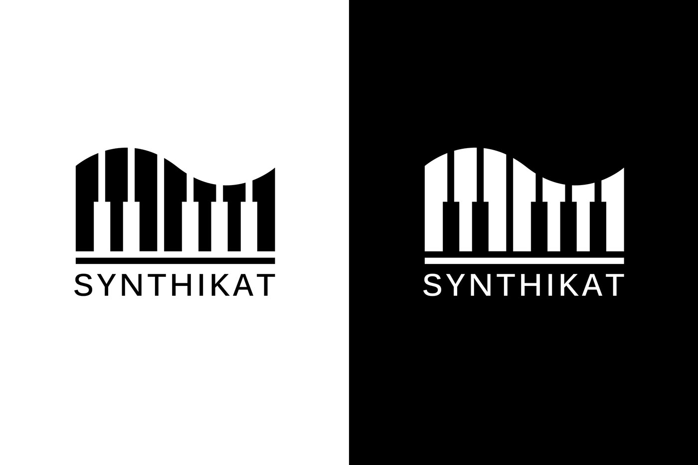 branding  identity Corporate Identity concept logo music producer bnw