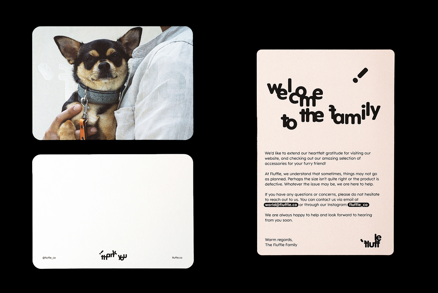 brand identity logo typography   kinetic typography Packaging dog oddity