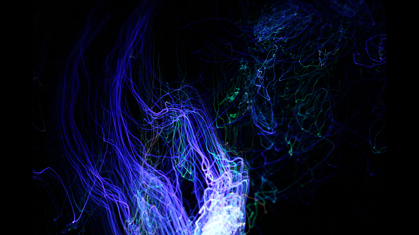 long exposure light painting jellyfish Ocean marine fiber medusa fiber orga fiber optic ROBBIE ANSON DUNCAN rad