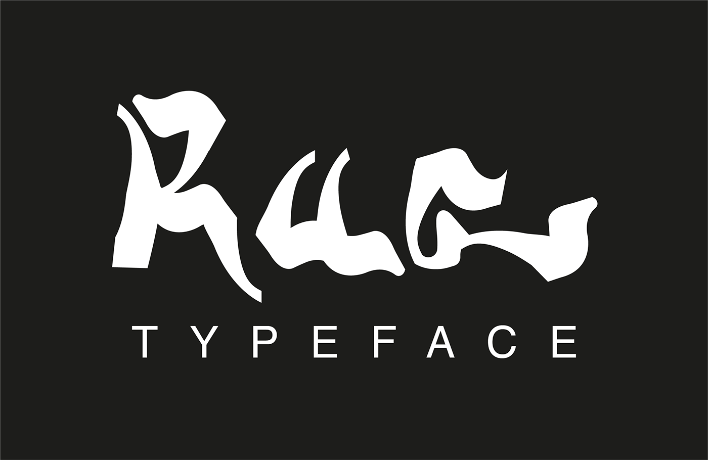 Modular Typeface font tipografia rua typeface rua modular Typeface modular font type font design