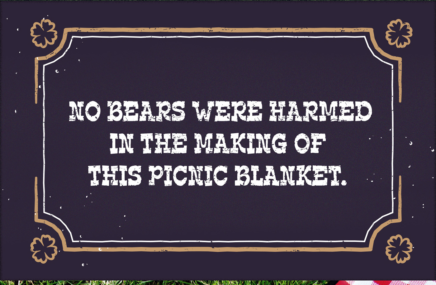 bear picninc outside woods garden Food  blanket Park