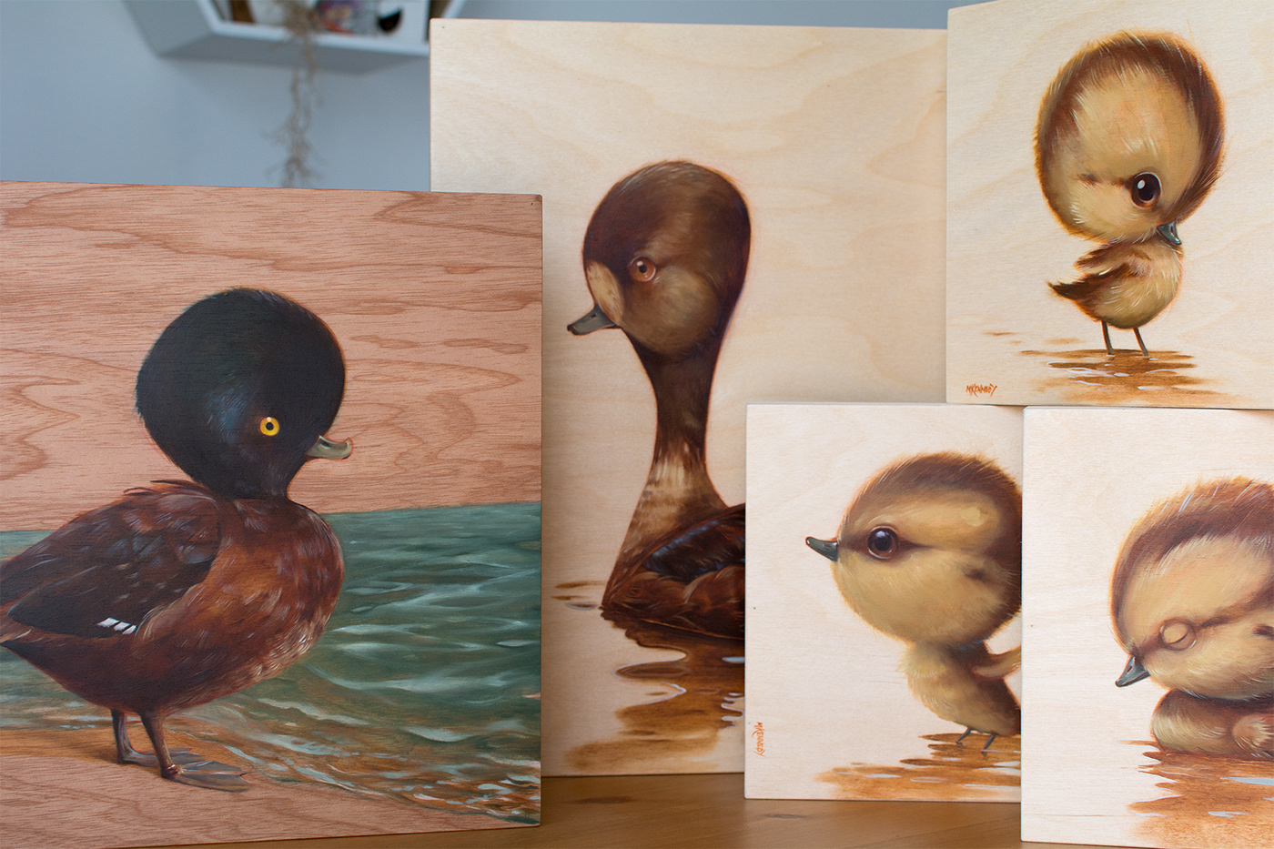 New Zealand wildlife ducks ducklings cute bizarre Paintings silly fluffy birds