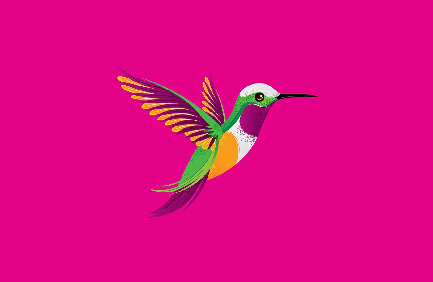 paper Albania package Packaging design Rebrand petal hummingbird