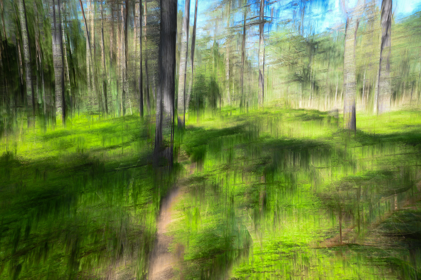 Nature Landscape green ICM forest swamp double exposure
