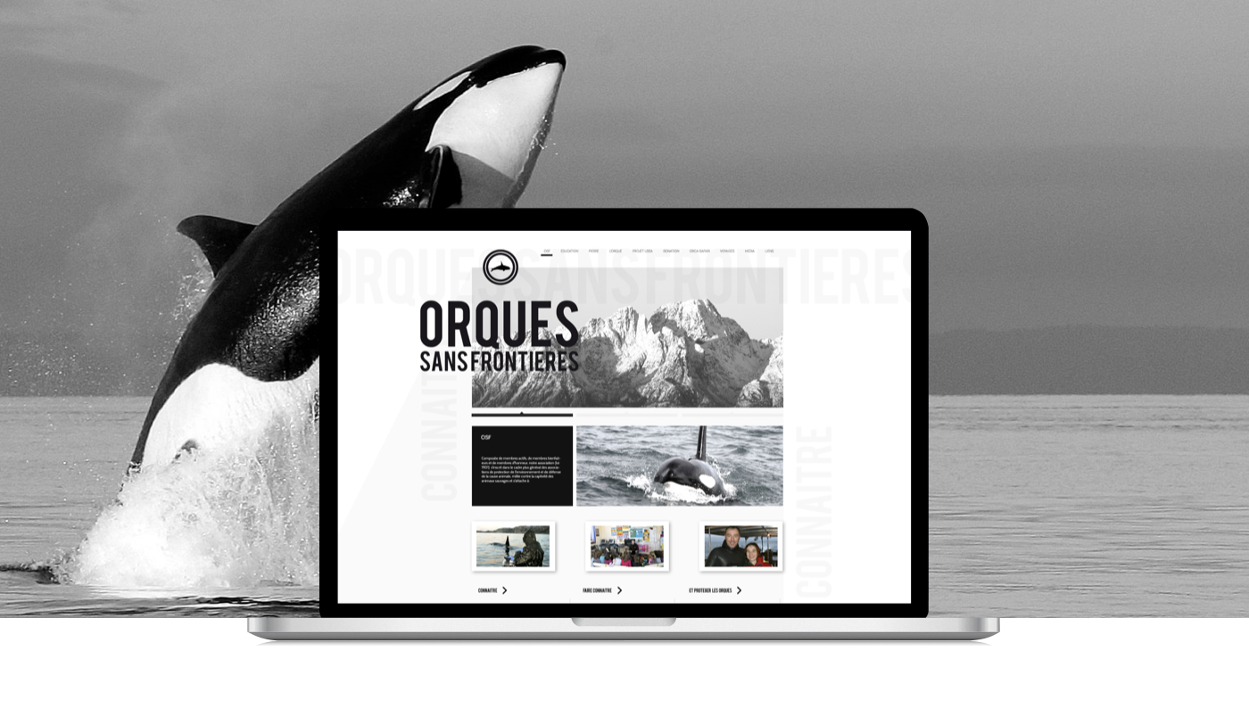 orque orca sea mammals lordzlz carotenuto Website design UI ux redesign Behance donate organization BrooklynCreates geneve