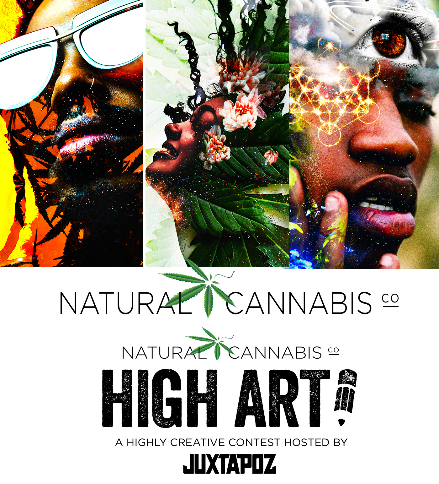 cannabis company contest FUTURISM Magic   marijuana Mystic natural CBD hemp
