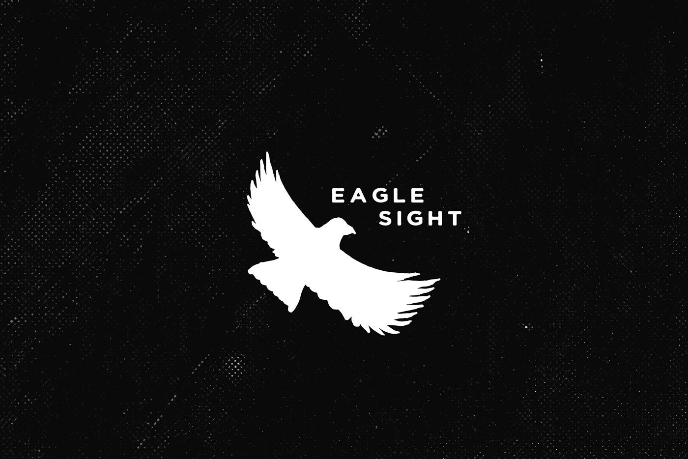 eagle sight eagle sight font sans serif sans serif Typeface type typography  