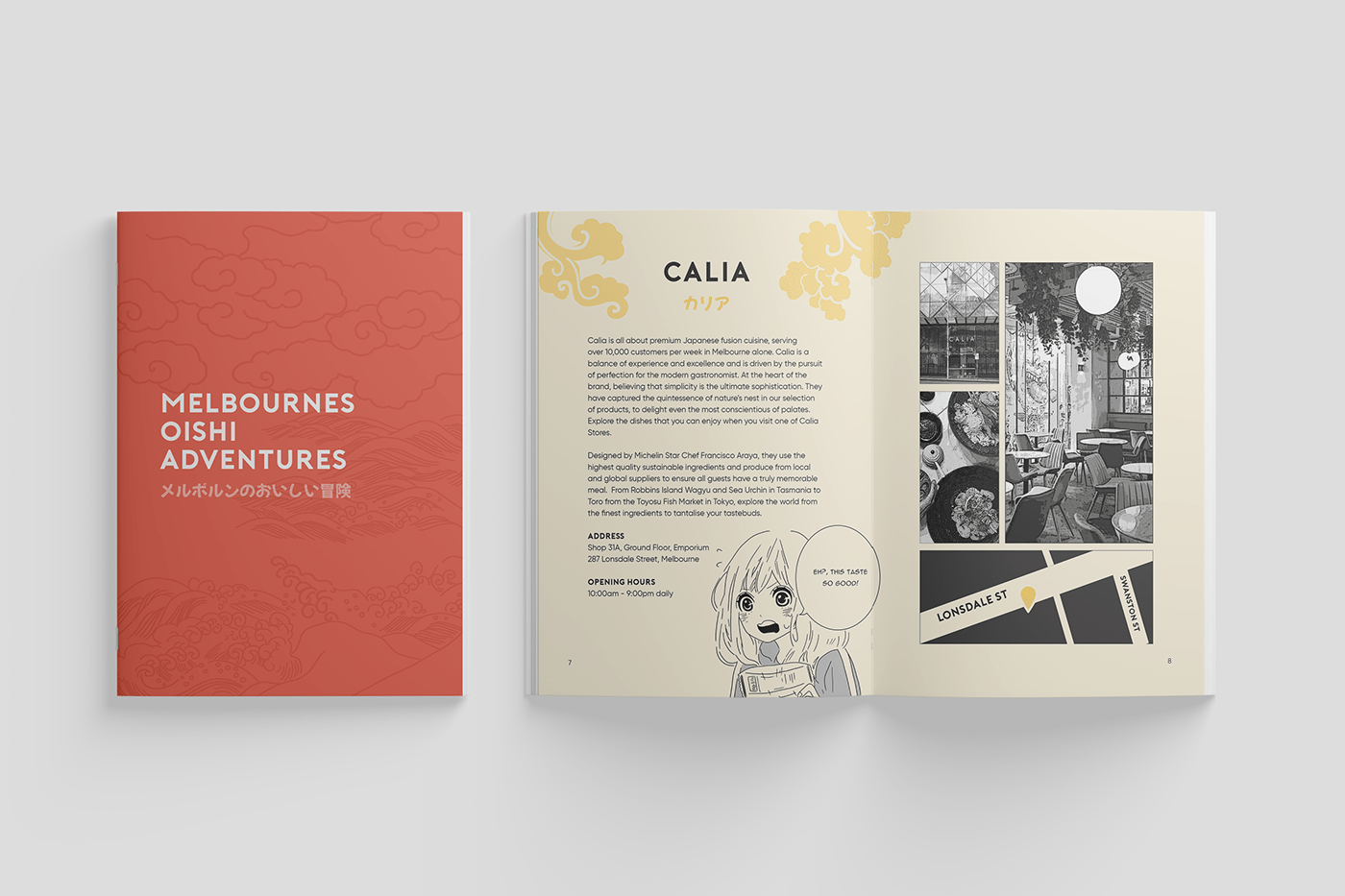 book design brochure print publication
