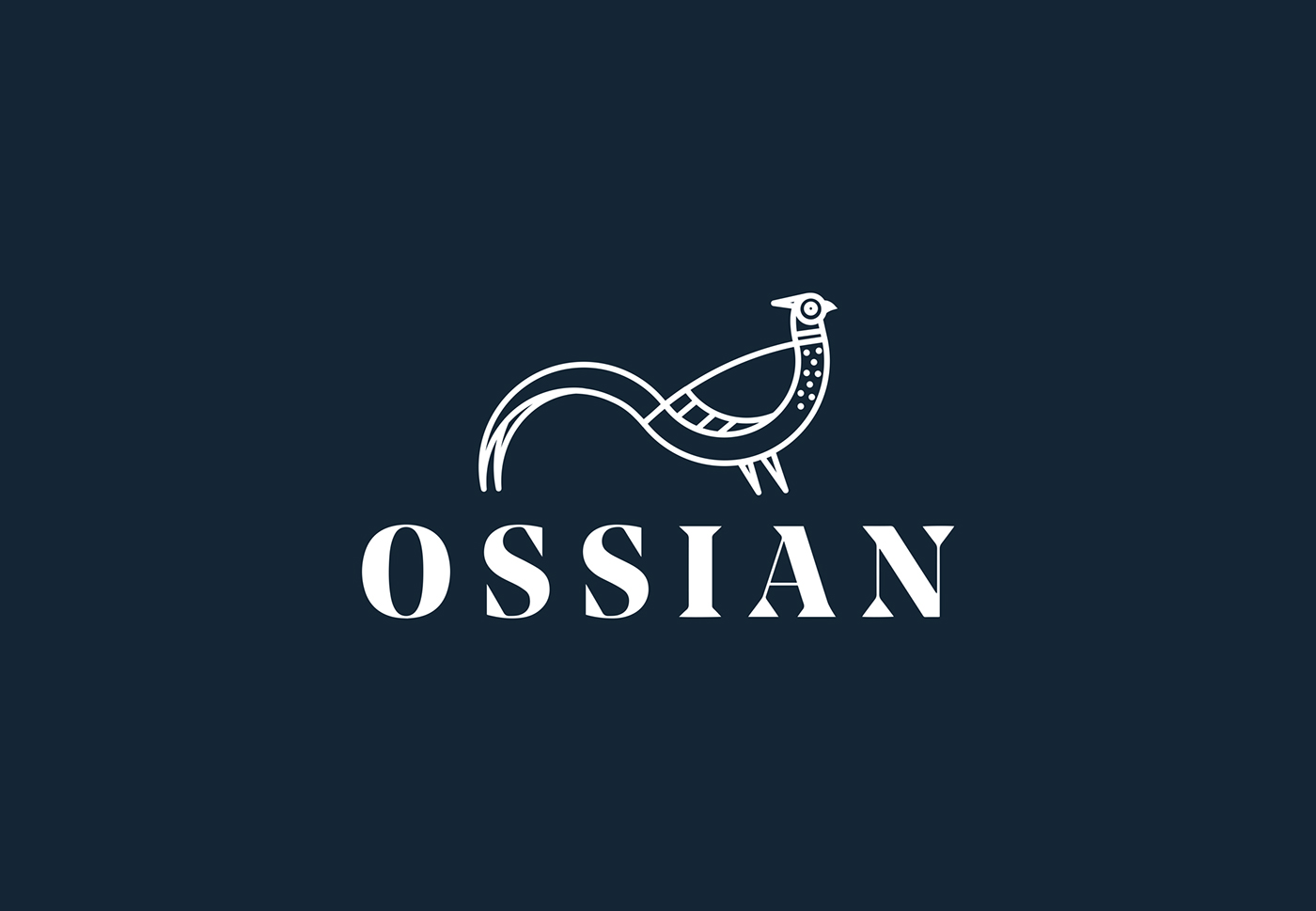 identity branding  logo marque Website scottish sport luxury ossian print