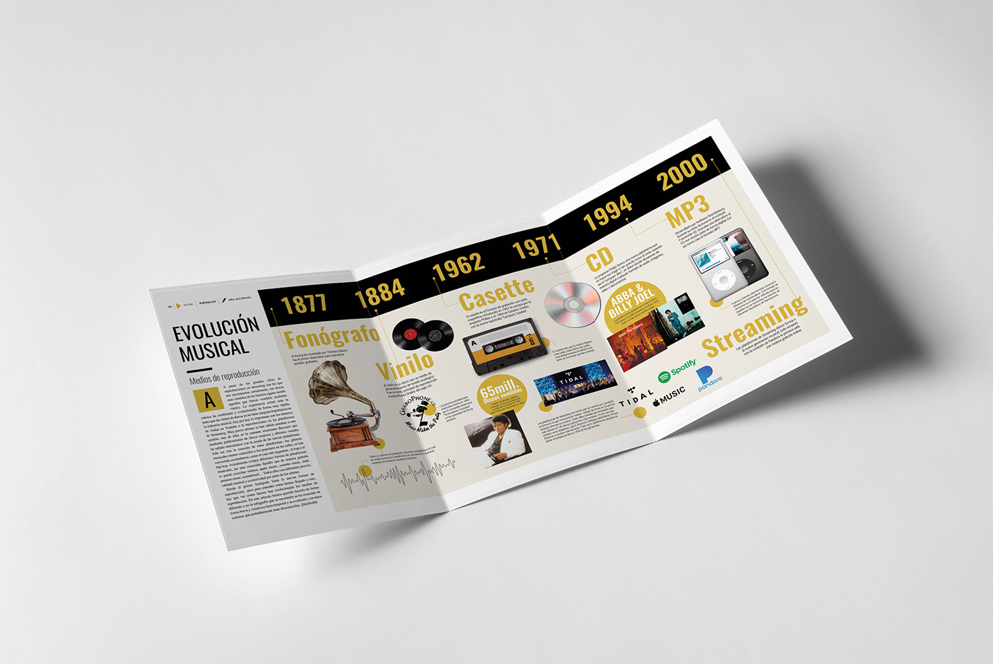 graphic design  infografia diseño Diseño editorial editorial design 