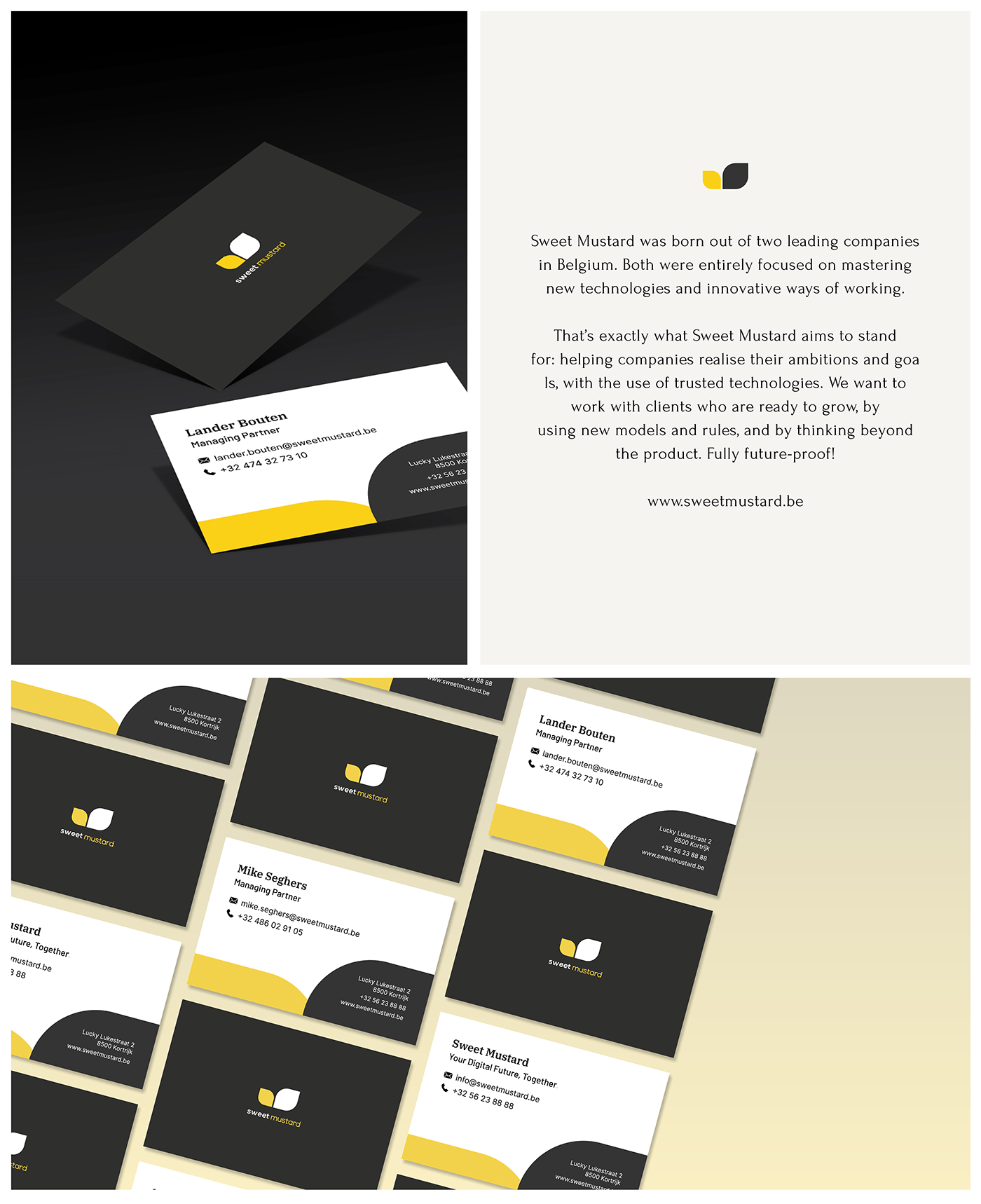 graphic design  business card company branding  brand identity Adobe InDesign