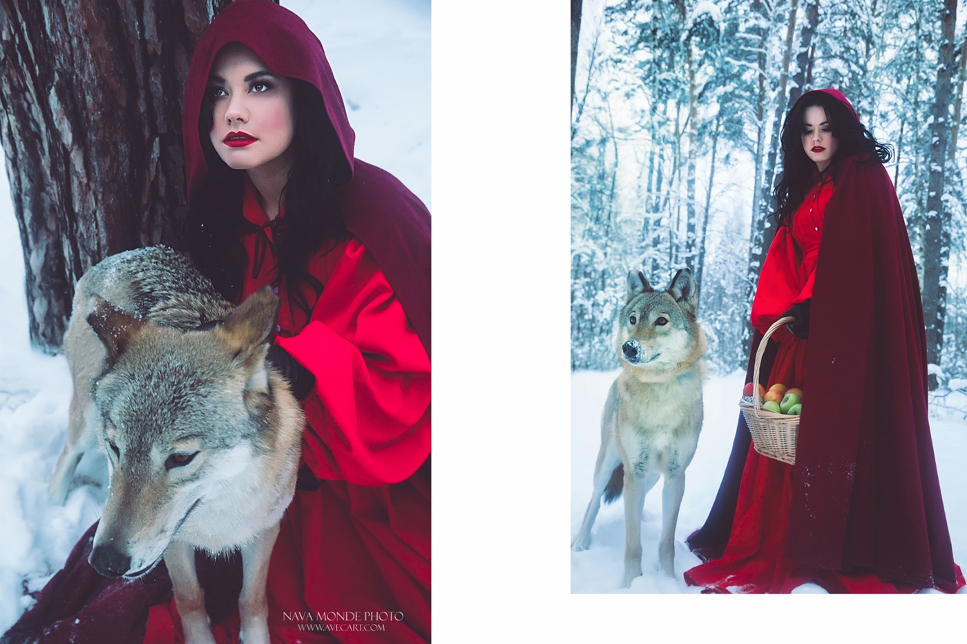 wolf animal snow digital art gallery winter fairytale redridinghood