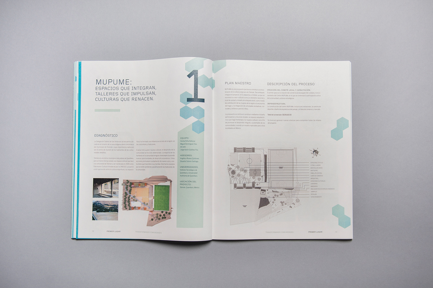 editorial design  print graphic design  CEMEX press book award type icons mexico