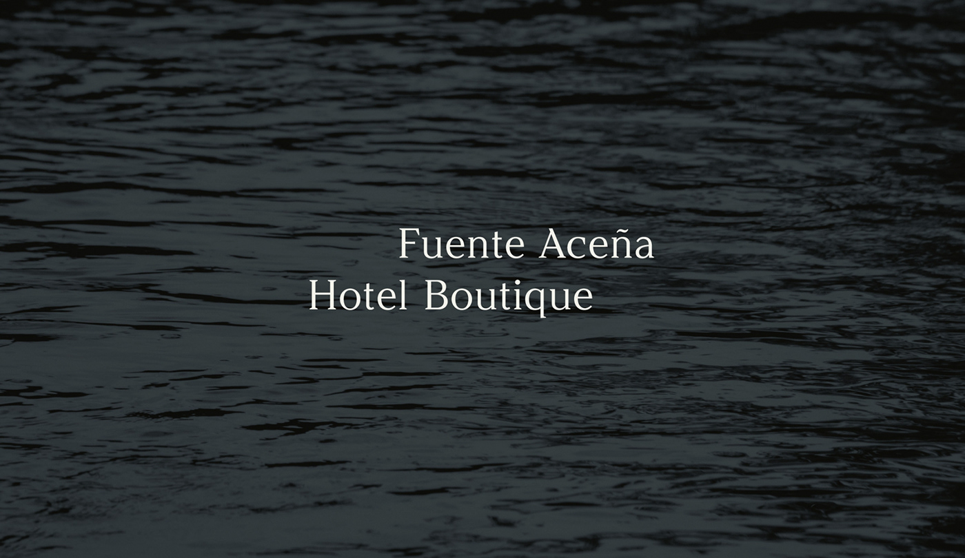 hotel branding  raw tipography custom font