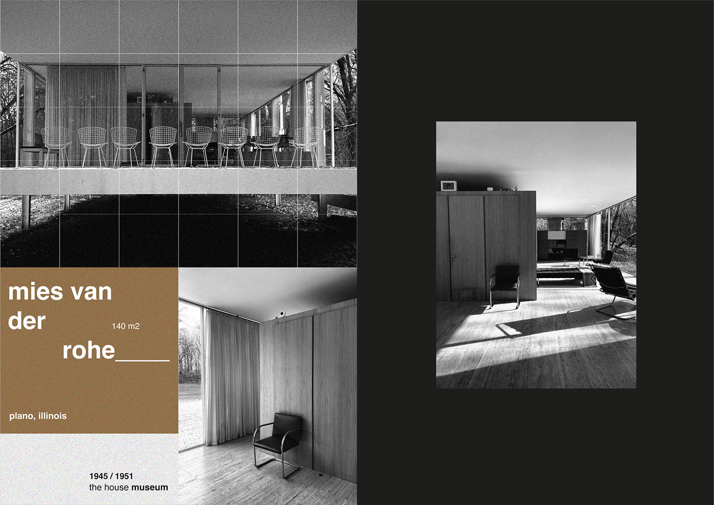 graphic design  designer arquitecture magazine Photography  mies van der rohe
