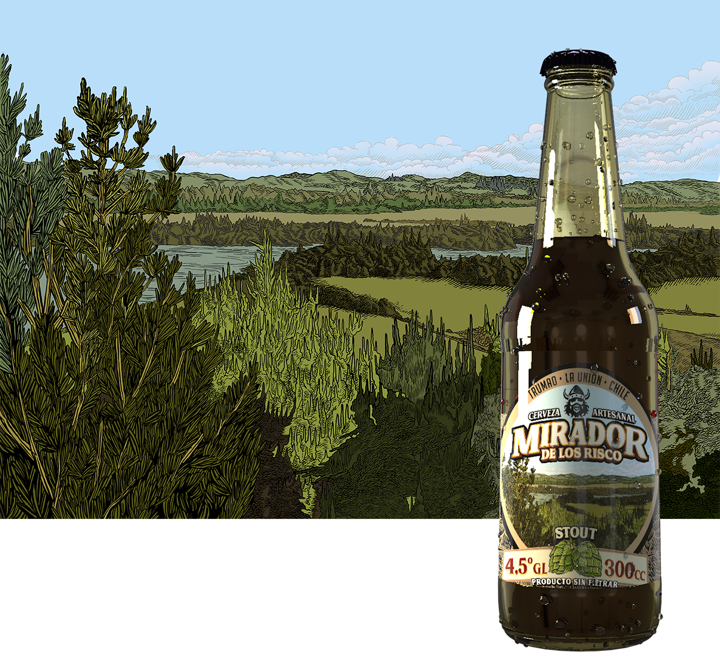 beer ILLUSTRATION  vikings Packaging craft beer alcohol beer label Label