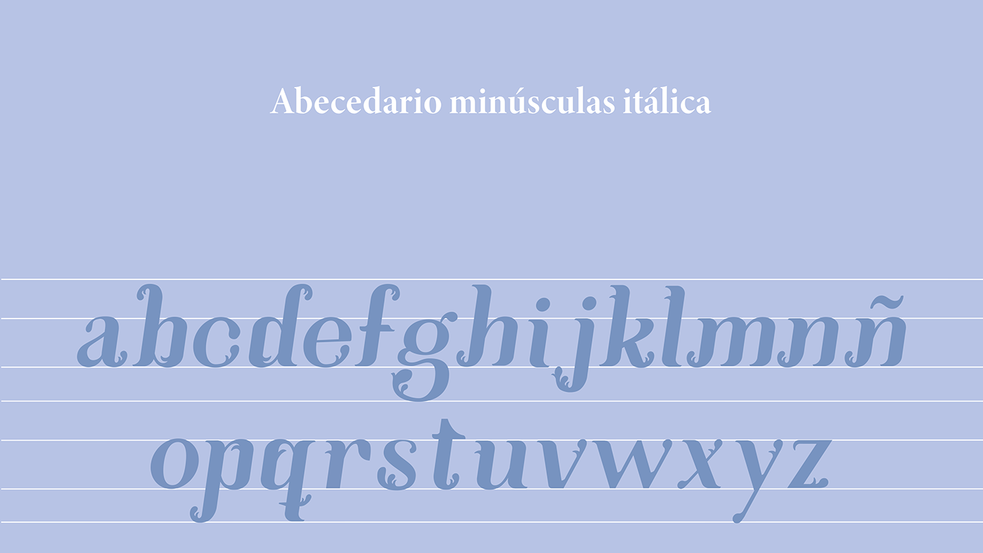 typography   typography design tipografia diseño design typographic graphic graphicdesign tipografias type