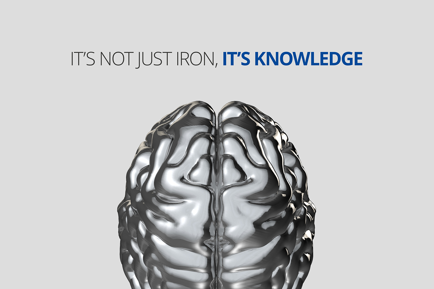dania  mat cast iron brain btb rebranding brochure Website sculpture