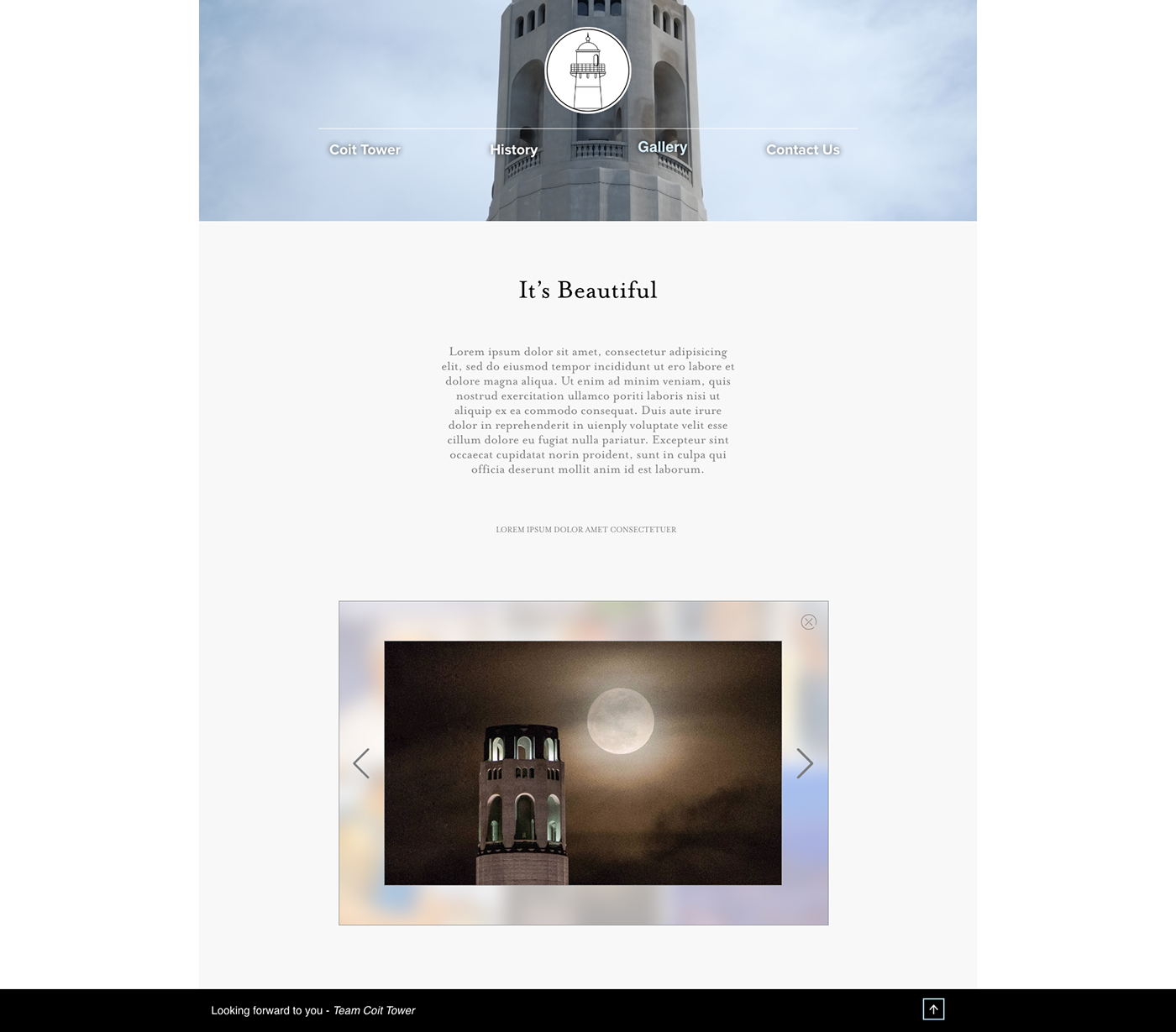 coit tower website Website Design