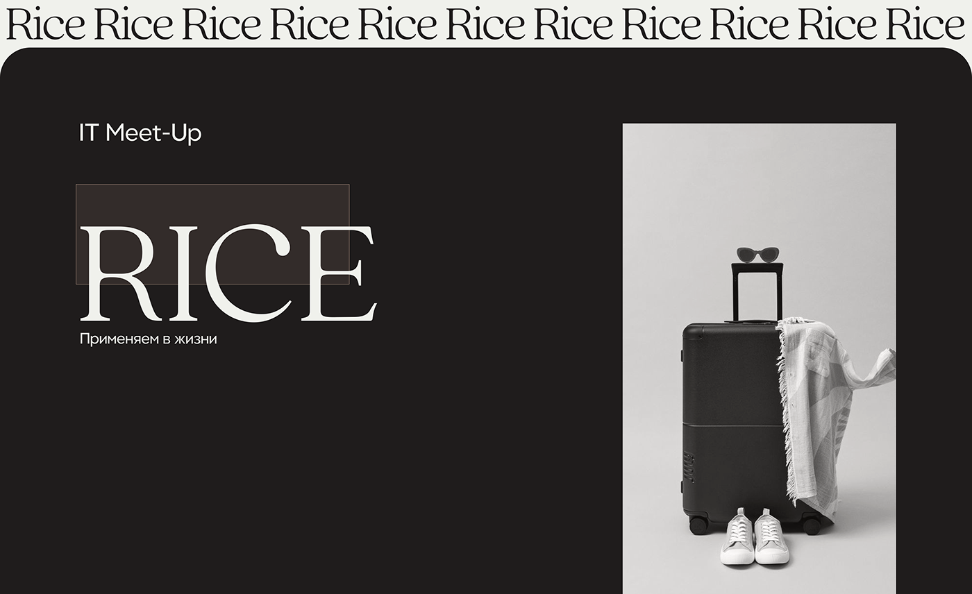 presentation design Rice design graphic design  product design 