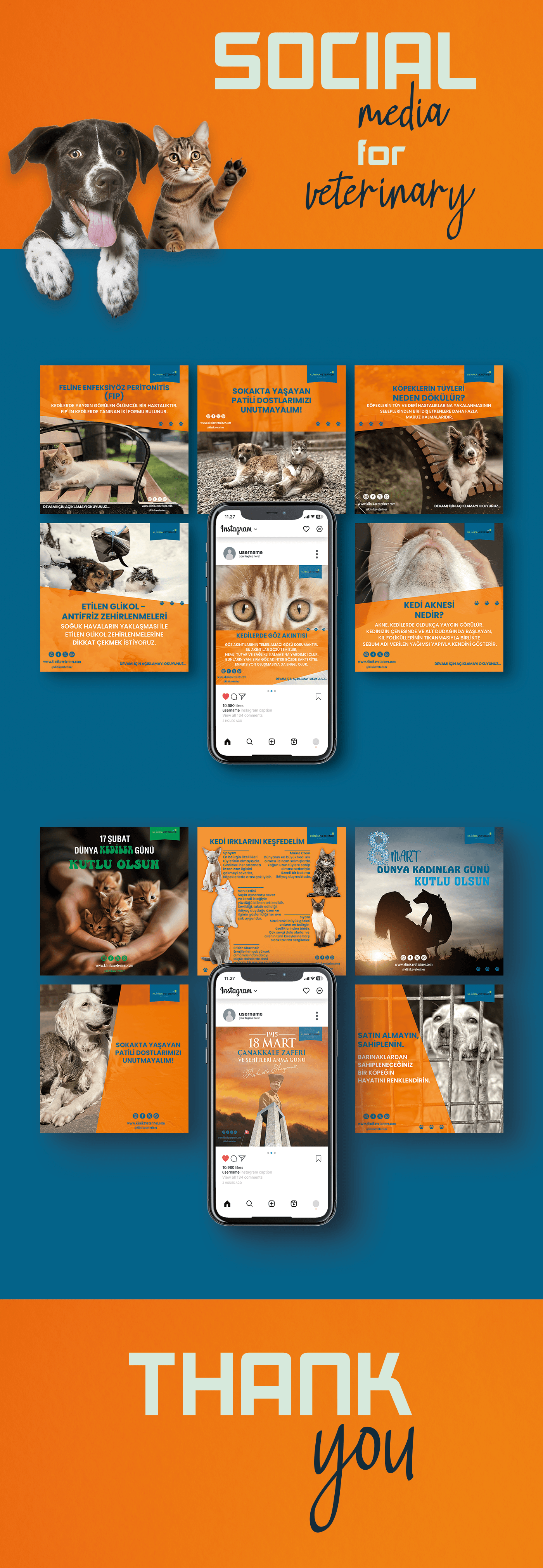 veterinary Social media post template design Cat post animal veterinarian pet care veterinarian clinic дог