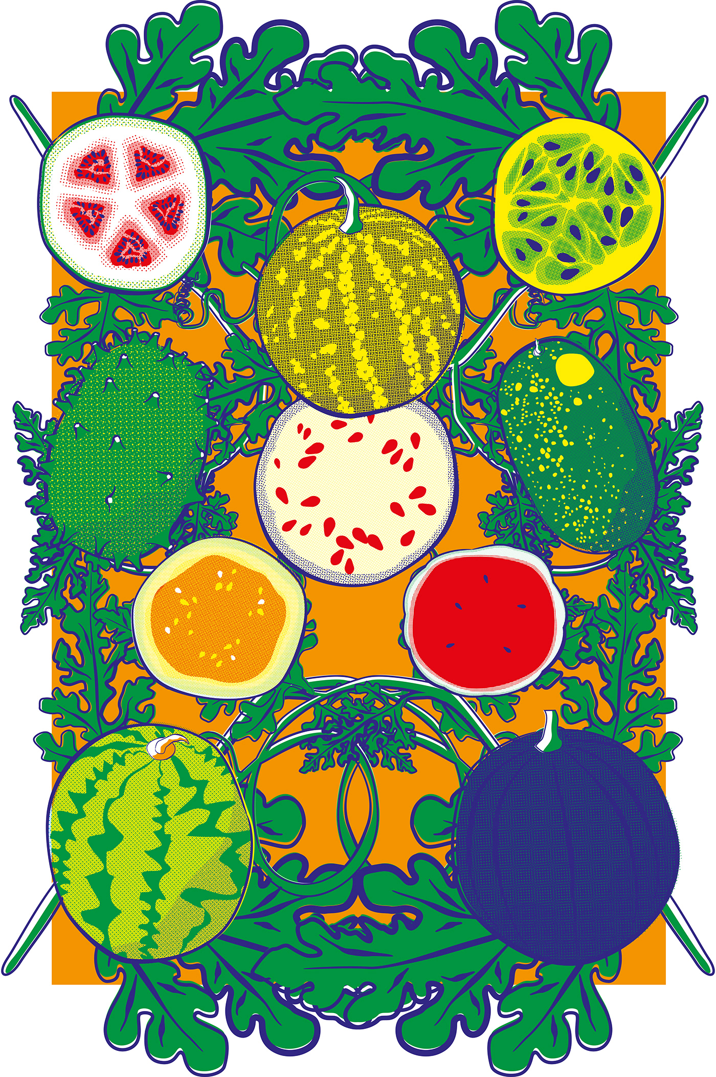 Fruit ILLUSTRATION  REMIX fiction Colourful 
