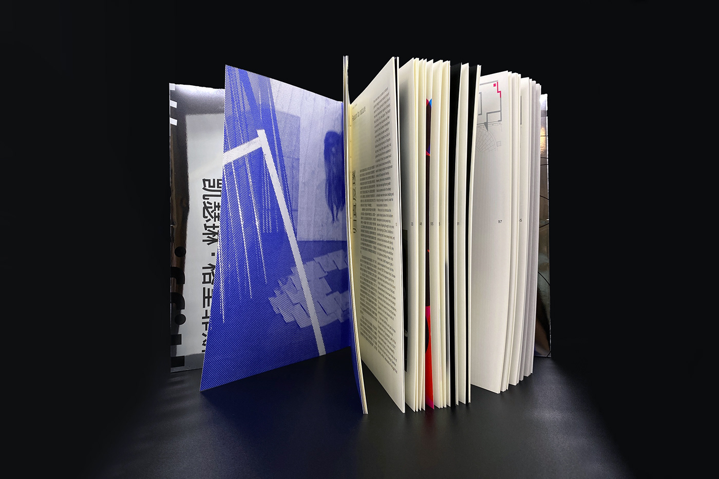 book book design catherine griffiths duan zhihua editorial editorial design  Layout new zealand design pocca typography  