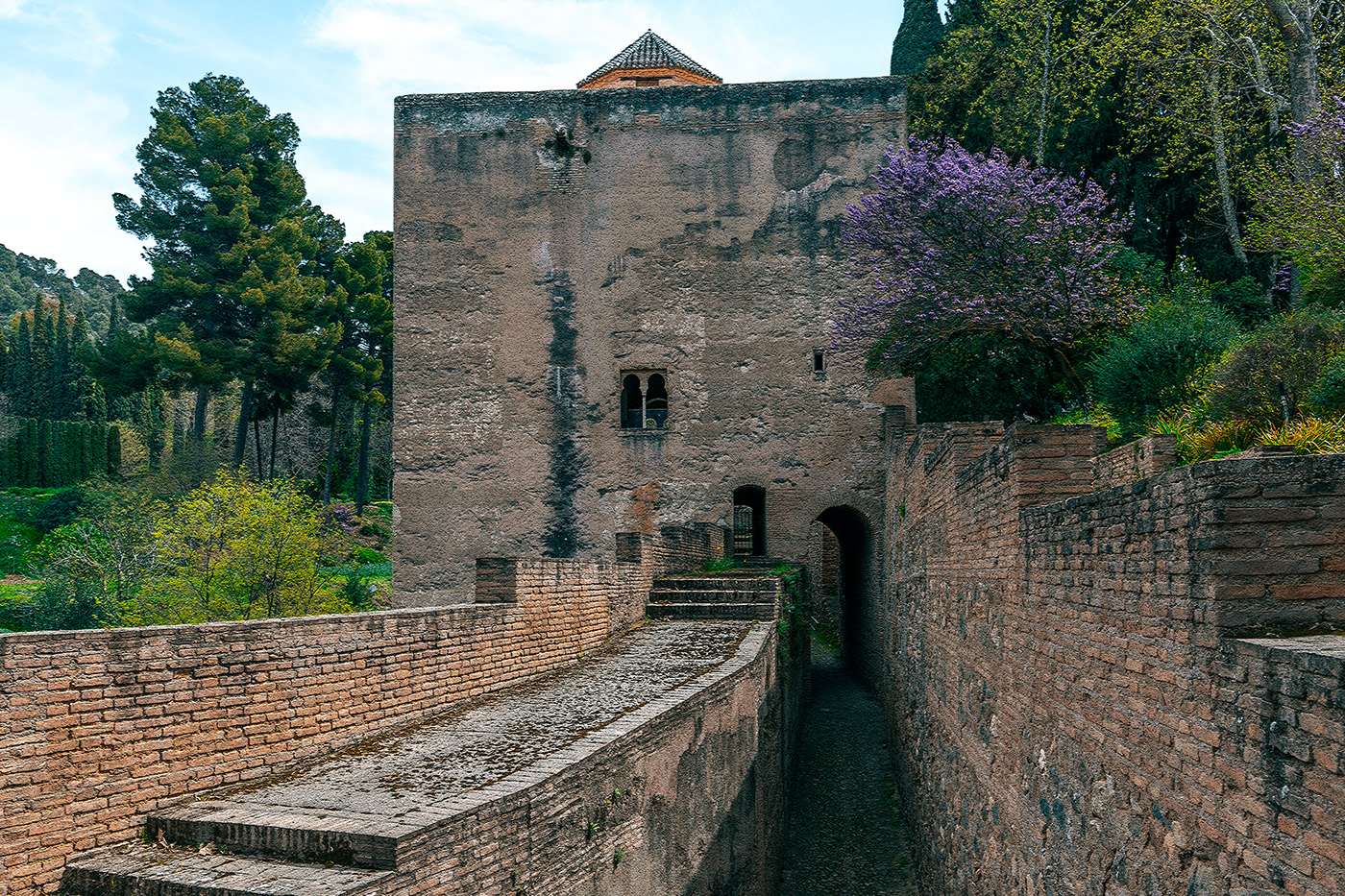 Alhambra spain andalucia Photography  españa islam islamic garden palace Landscape