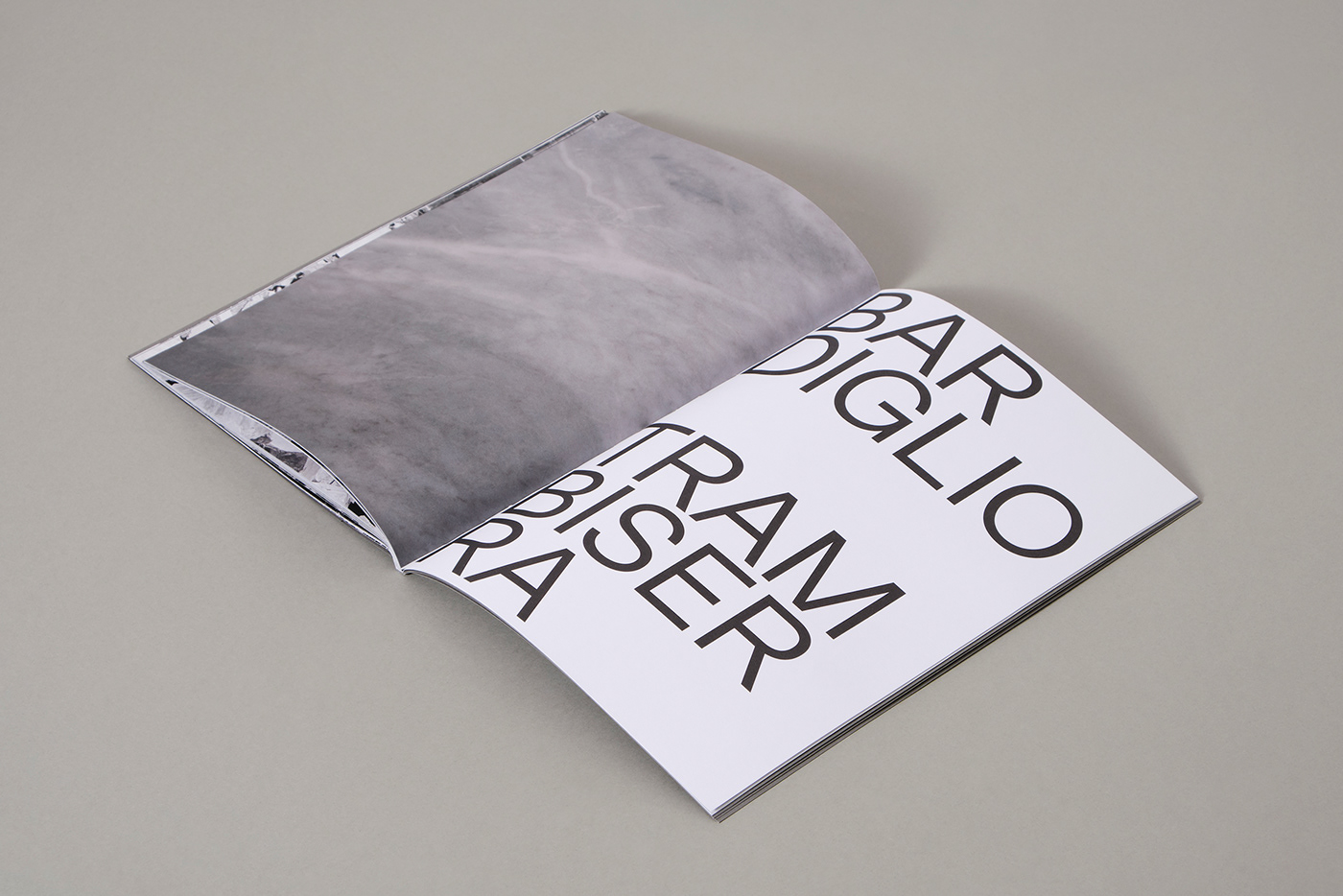 ArtDirection book design editorial graphicdesign trambiseramarmi