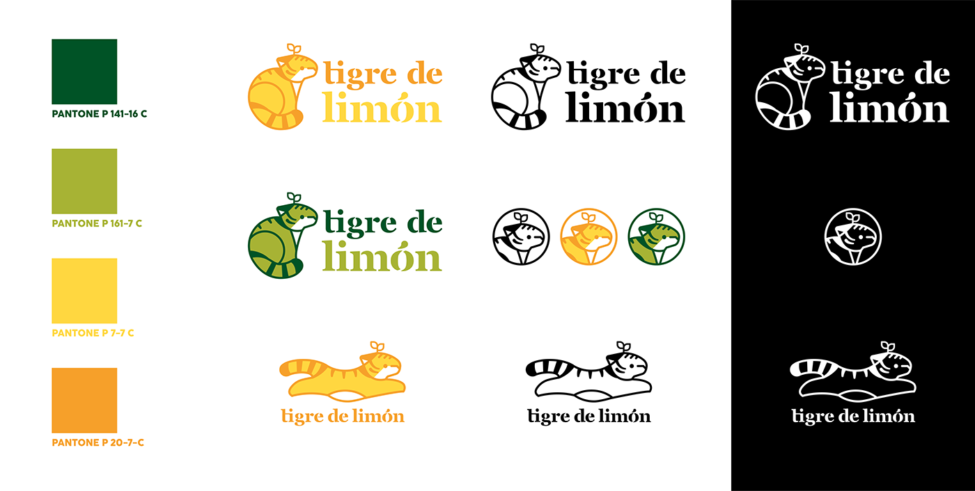 Diseño de logotipo logo Logo Design Logotipo Logotype personal branding tiger tigre