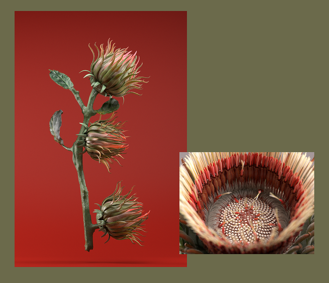velcro flower houdini plants Nature Technology design 3D motion graphic