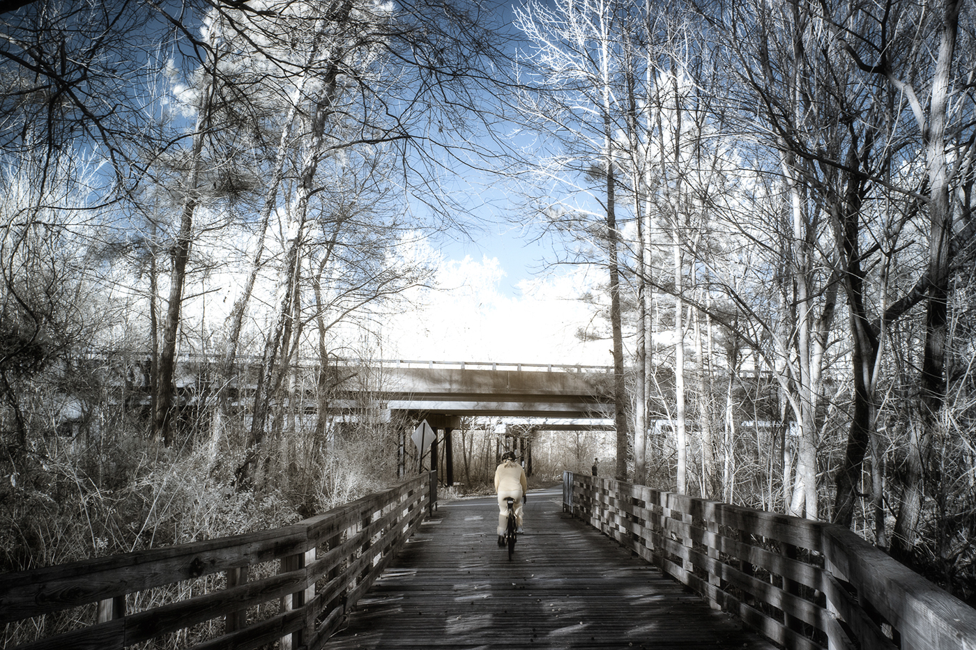 infrared photography alpharetta Georgia Walking path Greenway