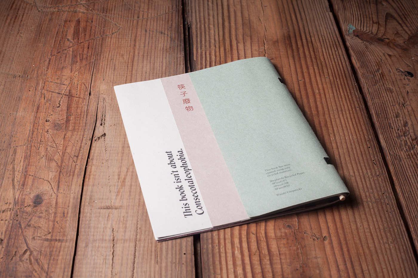 editorial design  chopsticks book design typograhy book enviroment