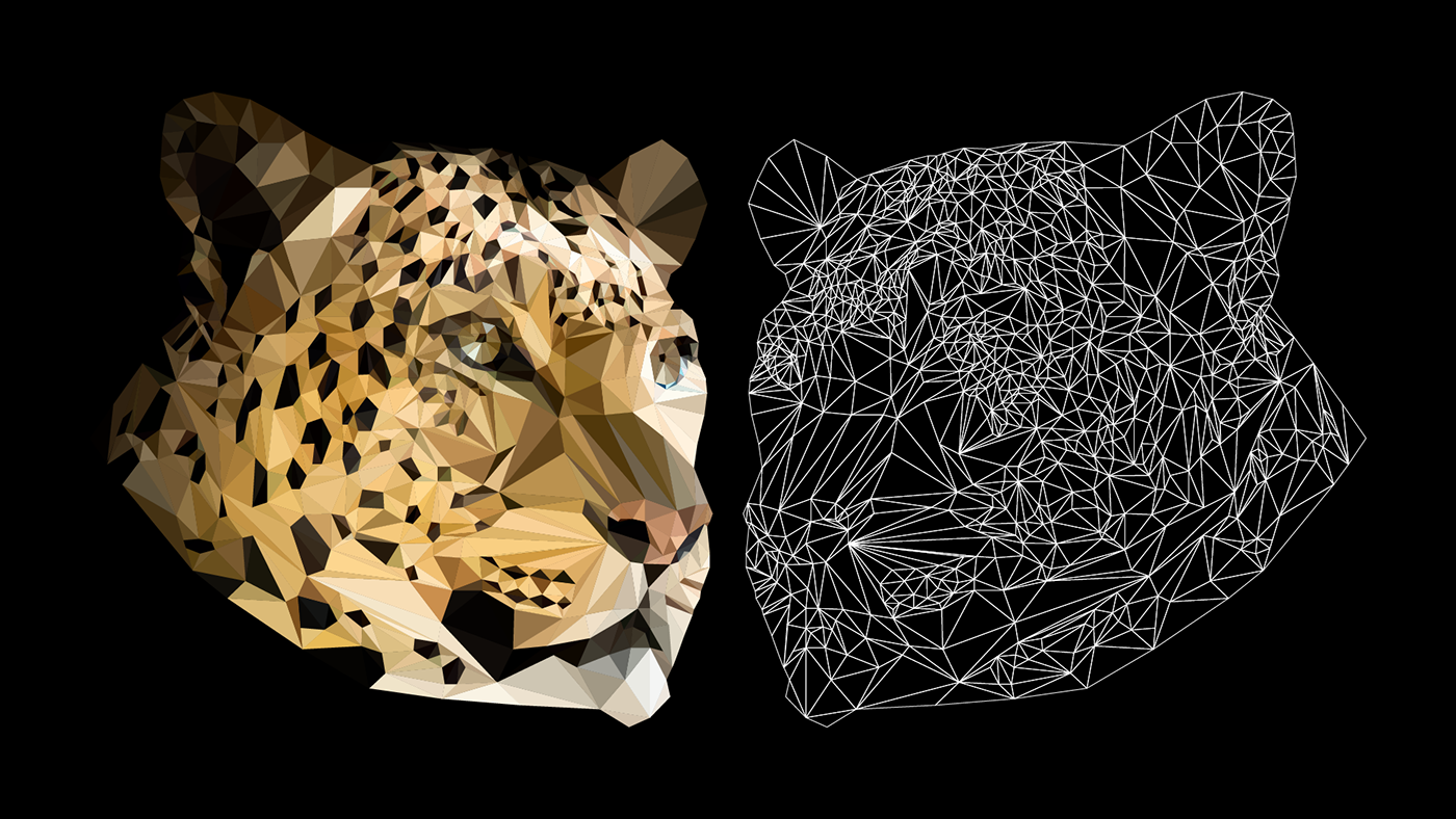 adobe illustrator animals concept digital Digital Art  digital illustration graphic design  Low Poly vector vector art