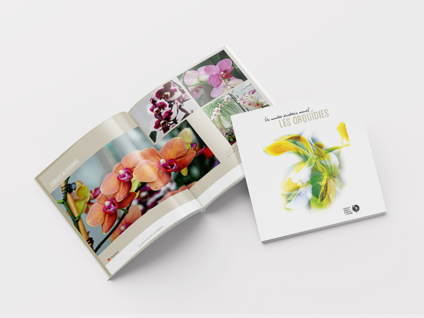 orquidies revista Disseny gràfic disseny editorial Layout