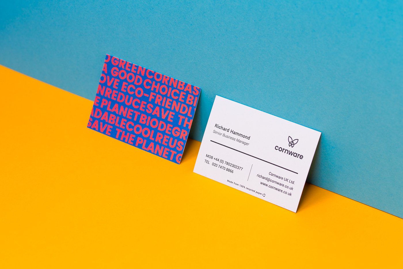 identity branding  design brochure Catalogue colours bio eco-friendly tableware typography  
