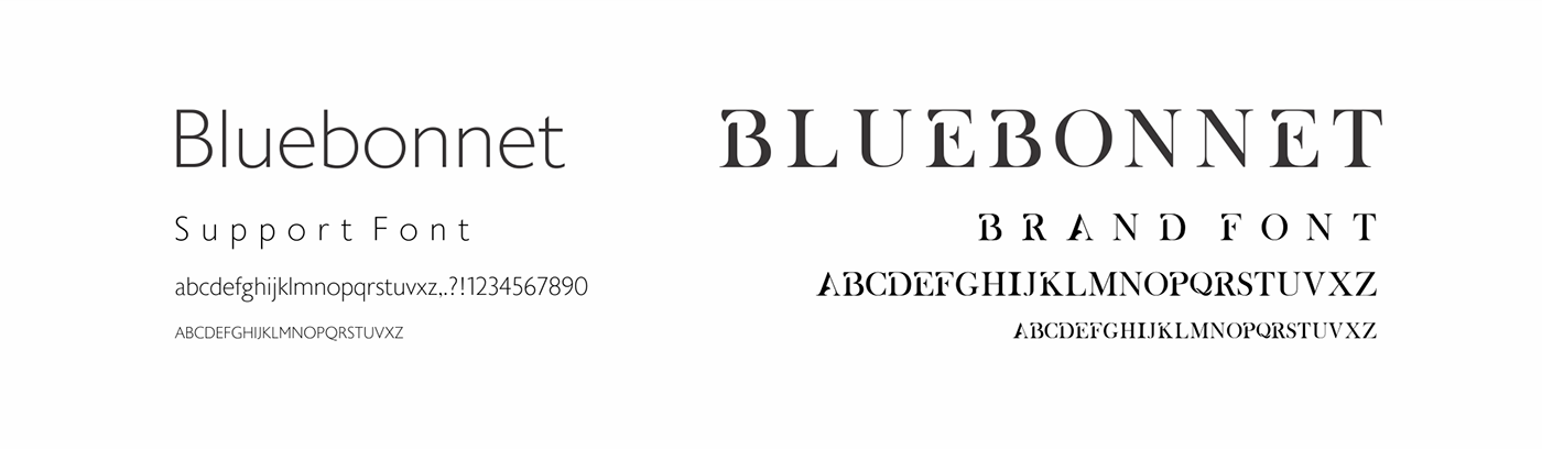 bluebonnet flowers brand Brand Design brand identity identidade visual logo Logo Design Logotipo Logotype visual identity