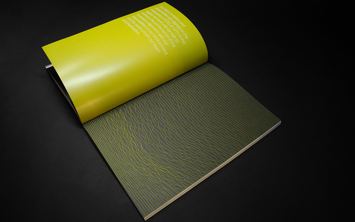annual report Layout typography   Corporate Design brochure print middle east graphic design  foil