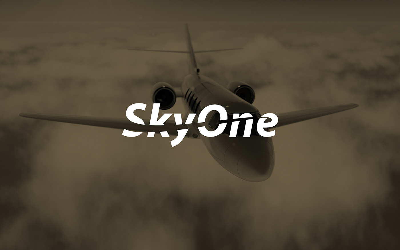 airplane brand identity branding  identity Graphic Designer visual identity airport flight plane SKY