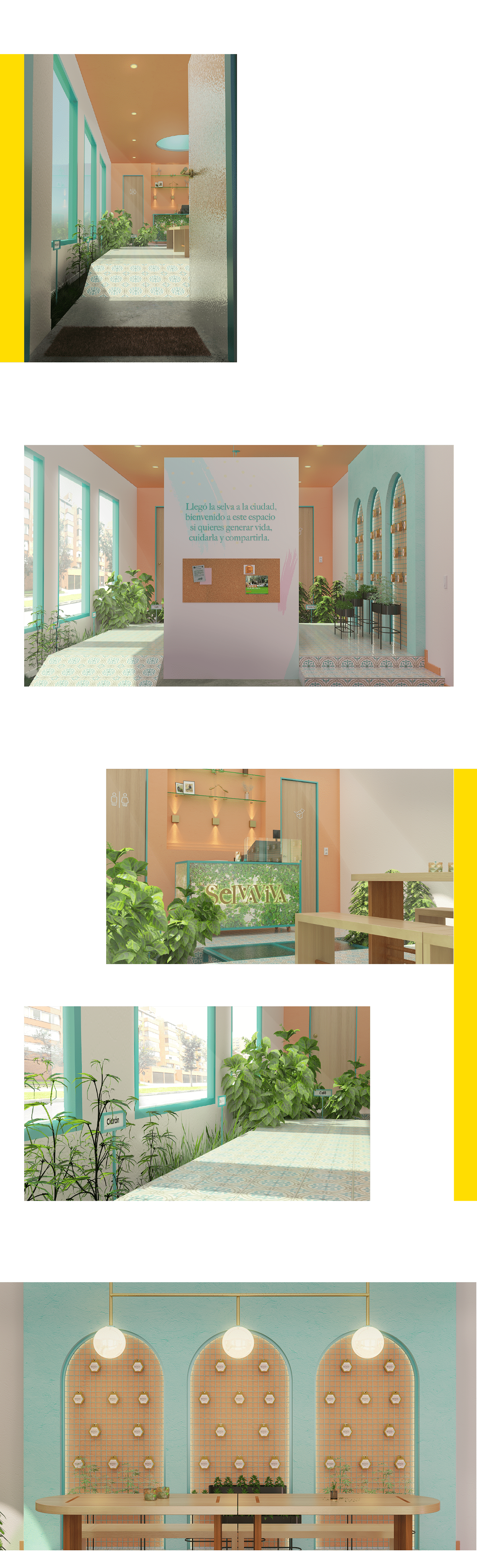 3d modeling commercial spaces furniture design  interior design  plants rendering Retail retail store seeds visualization